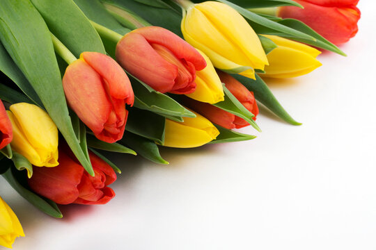 bouquet of red and yellow tulips on a white background