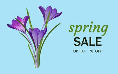 Spring background with sale and discount. Blue flowers crocuses on a light blue background. Vector illustration. Horizontal rectangular banner. Bright flyer for shopping. Snowdrop flower.