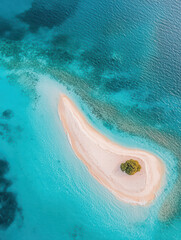 Fototapeta premium Serene Island Oasis: Aerial view captures a secluded island sanctuary, where a lone tree thrives amidst the vibrant turquoise embrace of the ocean's embrace. 
