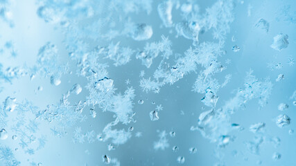 Fototapeta premium Close up of a delicate snowflakes melting on a glass surface during a serene winter day, capturing the ephemeral beauty of nature's frozen artistry