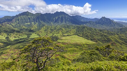 Naklejka premium Lush Green Mountain Valley Landscape with Ocean View