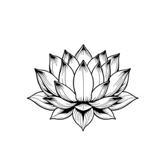 Intricate Black and White Lotus Flower Line Art for T-Shirt Print Design