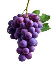 Fototapeta premium 一房のおいしそうなブドウ（JPEG/PNG)