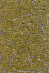 Detailed close-up of textured green surface with subtle patterns and variations in color tones