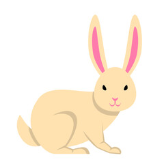 Cute Cartoon Rabbit Illustration