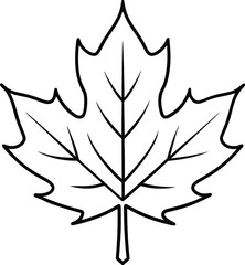 Maple Leaf Outline Vector - Simple Black Line Drawing