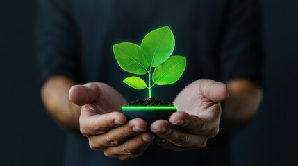 Nurturing Growth: A person's hands tenderly cradle a vibrant young plant, symbolizing care, development, and environmental consciousness.