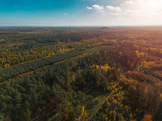 Fototapeta premium Aerial view of colorful autumn forest landscape