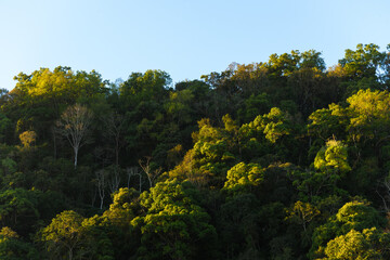 Doi Pha Hom Pok National Park and The Garden at Angkhang mountain, chiangmai Thailand.