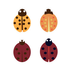 Colorful Ladybug Variations Vector
