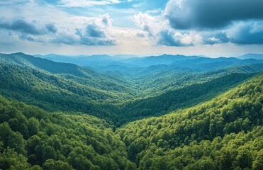 Mountain Valley Landscape Panorama