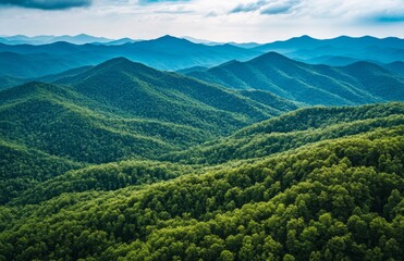 Fototapeta premium Appalachian Mountains vista, lush forests