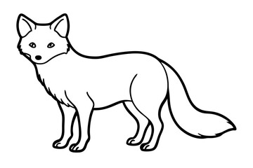 Elegant Arctic Fox Outline
