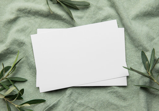 Blank cards resting on green fabric with olive branches for elegant invitation or announcement