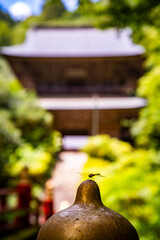 Unganji temple in Otawara, Tochigi, Japan