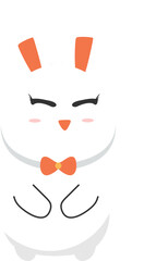 Cute Bunnny Rabbit