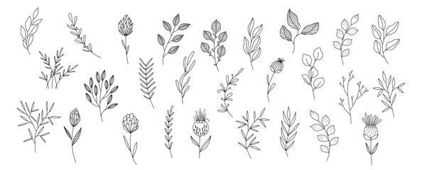 Botanic set of detailed various flowers. Luxury vintage floral collection for wedding invitation. Botanical vector