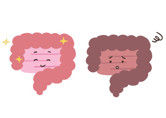 元気な腸と調子が悪い腸　腸内環境についてのイラスト