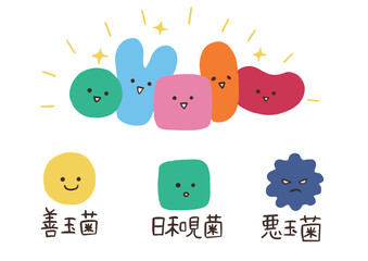 腸内細菌達のかわいいイラストセット　腸内環境についてのイラスト © 星野スウ