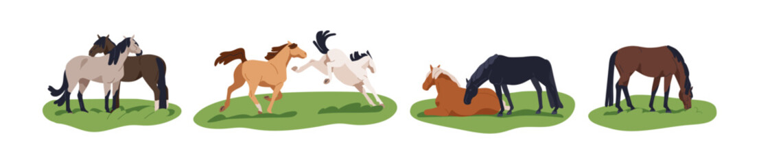 Horses grazing, running, resting and frolicking. Stallions, steed and mare on grass, countryside pasture. Equine animal life, rural scenes set. Flat vector illustration isolated on white background