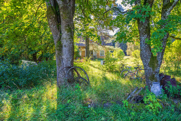 Fototapety na wymiar - Fototapeta24.pl