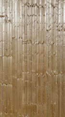 Fototapeta premium Wooden vertical background of light colour 