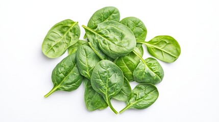 Fototapeta premium Fresh spinach leaves on a white background. 