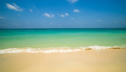 Fototapeta premium Generated image