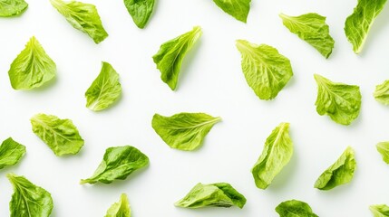 Fototapeta premium Loose lettuce leaves on a white background. 