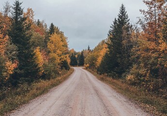 Fototapeta premium Serene autumnal road through colorful forest.