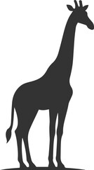 Giraffe standing tall and looking straight ahead vector silhouette