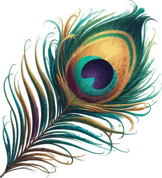 Fototapeta Peacock feather vector logo art