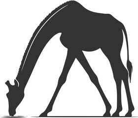 Black silhouette of a giraffe drinking water vector