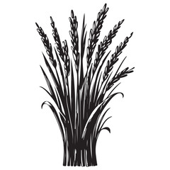 Sketch of wheat for Agricultural Harvest and Farming Concept