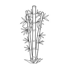 bamboo vector illustration