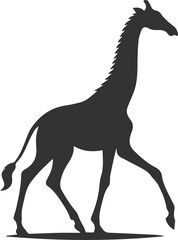 Giraffe walking gracefully with one front leg lifted vector silhouette