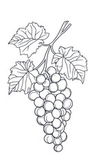 Obraz premium Minimalist Grapes Line Art for Coloring Books, Printable SVG Vector Design