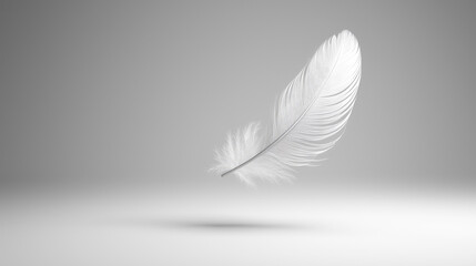 Obraz premium delicate white feather floats gracefully