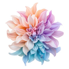Obraz premium An abstract colorful chrysanthemum, isolated on a white background, showcasing dynamic shapes and vivid hues. PNG