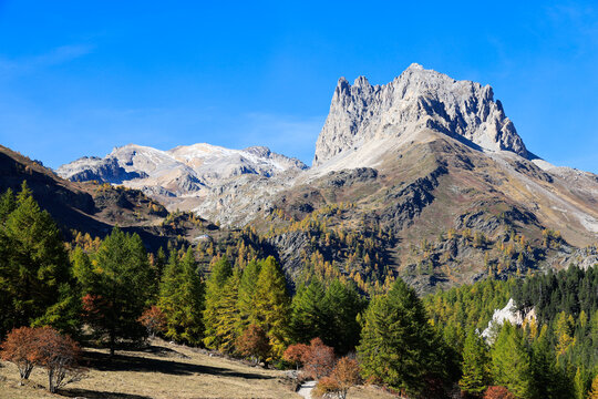 Vall&eacute;e Etroite en automne. Mont Thabor et Grand S&eacute;ru. N&eacute;vache. Massif des Cerces. Hautes-Alpes.