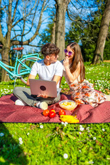 Young couple enjoying picnic and working remotely in park