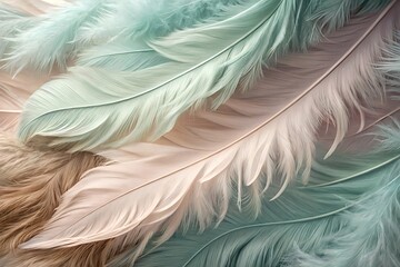 Colorful feather abstract background, green pink