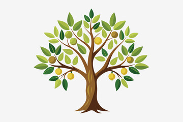 colourful Olive tree on vintage paper. Realistic sketch isolated on white background. Olive tree twig botanical drawings in engraved style. 