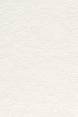 Fototapeta premium Paper texture background, simple design