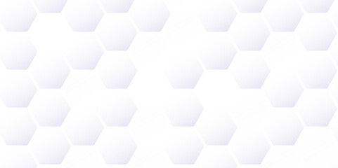 Fototapeta premium A Deep Dive into the World of Abstract Geometric Patterns: The Intersection of White and Gray Hexagonal Grids with 3D Technology Lines