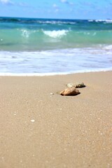 Two rocks on a sandy beach, with turquoise waves and a blue sky in the background.