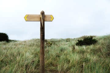 Wooden signpost with yellow arrows in grassy field. Signpost stands tall in the field. Grassy field surrounds the signpost under a cloudy sky. Wooden sign in a grass field. Direction and lost concept