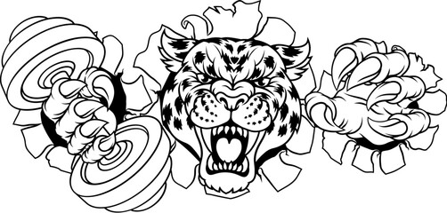 A jaguar, panther, leopard or cheetah wildcat spotted cat weight lifting dumbbell gym sports mascot