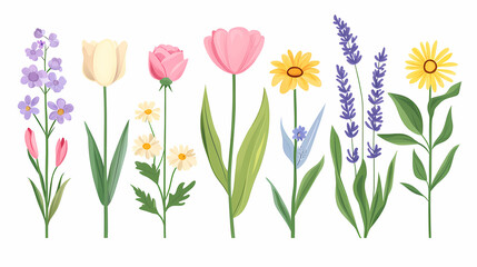 Fototapeta premium Plant hand drawn illustration