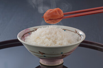 ご飯と梅干し−6
